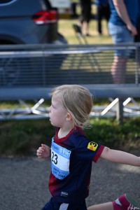 CDQ_2023_163_YA